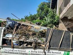 Best Dumpster Rental Services  in South Gate, CA